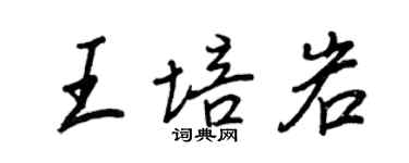 王正良王培岩行书个性签名怎么写