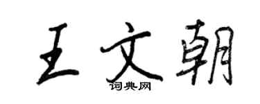 王正良王文朝行书个性签名怎么写