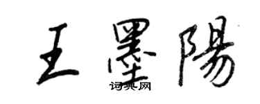 王正良王墨阳行书个性签名怎么写