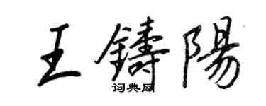 王正良王铸阳行书个性签名怎么写