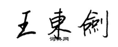 王正良王东剑行书个性签名怎么写