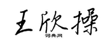 王正良王欣操行书个性签名怎么写