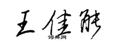 王正良王佳能行书个性签名怎么写