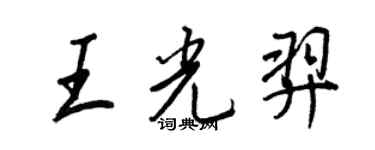 王正良王光羿行书个性签名怎么写
