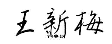 王正良王新梅行书个性签名怎么写