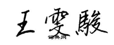 王正良王雯骏行书个性签名怎么写