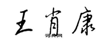 王正良王肖康行书个性签名怎么写
