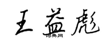 王正良王益彪行书个性签名怎么写