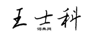 王正良王士科行书个性签名怎么写