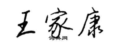 王正良王家康行书个性签名怎么写