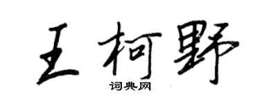 王正良王柯野行书个性签名怎么写