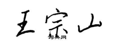 王正良王宗山行书个性签名怎么写
