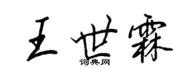 王正良王世霖行书个性签名怎么写