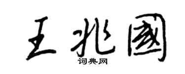 王正良王兆国行书个性签名怎么写