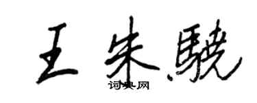 王正良王朱骁行书个性签名怎么写