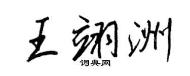 王正良王翊洲行书个性签名怎么写