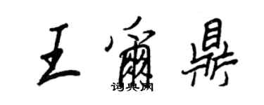 王正良王尔鼎行书个性签名怎么写