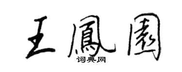 王正良王凤园行书个性签名怎么写