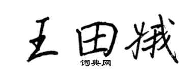 王正良王田娥行书个性签名怎么写