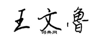王正良王文鲁行书个性签名怎么写