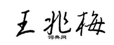 王正良王兆梅行书个性签名怎么写