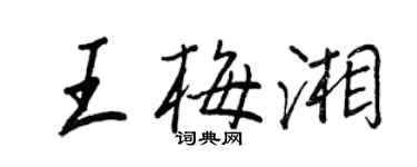 王正良王梅湘行书个性签名怎么写