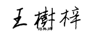 王正良王树梓行书个性签名怎么写
