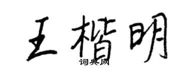 王正良王楷明行书个性签名怎么写