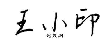 王正良王小印行书个性签名怎么写