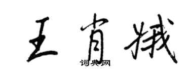 王正良王肖娥行书个性签名怎么写