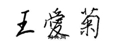 王正良王爱菊行书个性签名怎么写