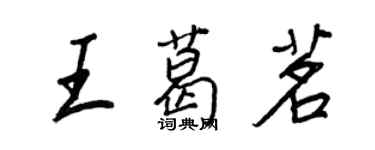 王正良王葛茗行书个性签名怎么写