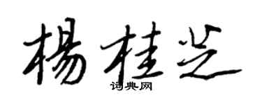 王正良杨桂芝行书个性签名怎么写