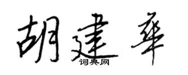 王正良胡建华行书个性签名怎么写