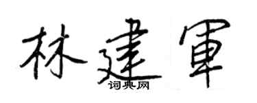 王正良林建军行书个性签名怎么写