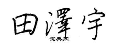 王正良田泽宇行书个性签名怎么写