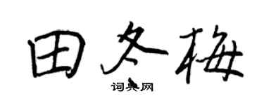 王正良田冬梅行书个性签名怎么写