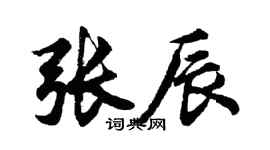 胡问遂张辰行书个性签名怎么写