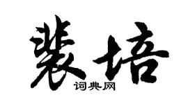 胡问遂裴培行书个性签名怎么写