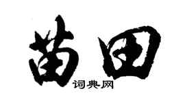 胡问遂苗田行书个性签名怎么写