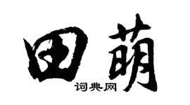 胡问遂田萌行书个性签名怎么写