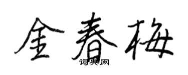 王正良金春梅行书个性签名怎么写