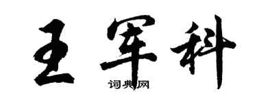 胡问遂王军科行书个性签名怎么写