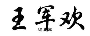 胡问遂王军欢行书个性签名怎么写