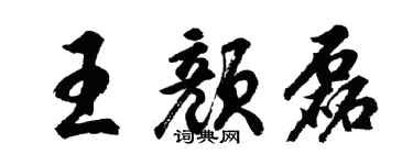 胡问遂王颜磊行书个性签名怎么写