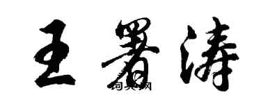 胡问遂王署涛行书个性签名怎么写