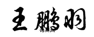 胡问遂王鹏羽行书个性签名怎么写