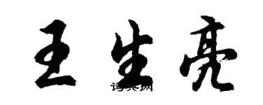 胡问遂王生亮行书个性签名怎么写