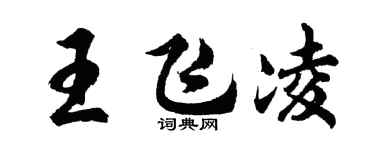 胡问遂王飞凌行书个性签名怎么写