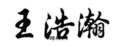 胡问遂王浩瀚行书个性签名怎么写